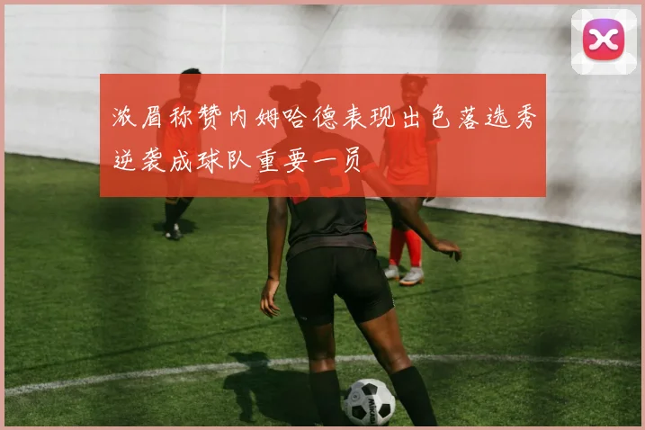 浓眉称赞内姆哈德表现出色落选秀逆袭成球队重要一员