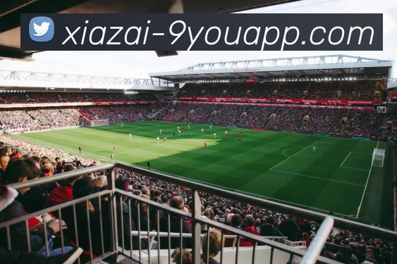 九游娱乐平台生态图